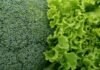 Lettuce Shortage: Why It’s Happening in 2026