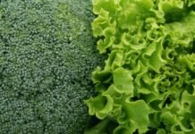 Lettuce Shortage: Why It’s Happening in 2026