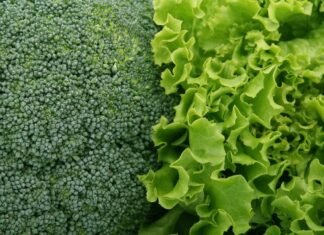 Lettuce Shortage: Why It’s Happening in 2026