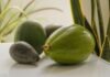 Avocado Shortage: Causes, Prices, and What’s Next