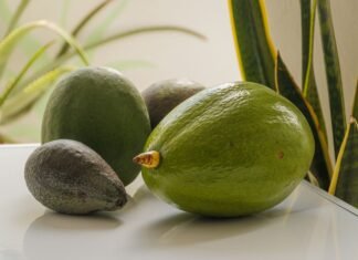 Avocado Shortage: Causes, Prices, and What’s Next