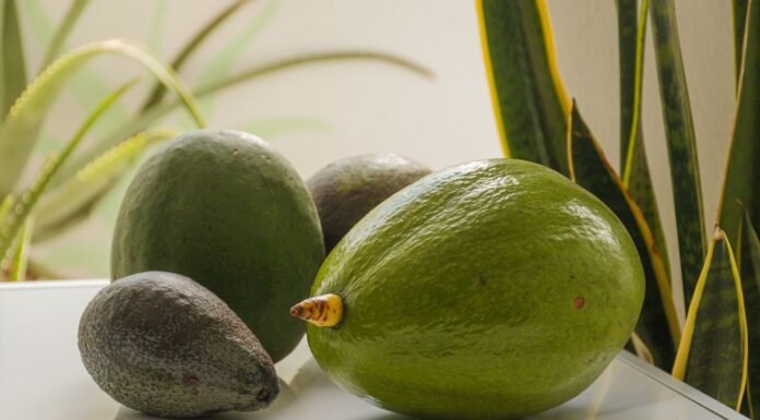 Avocado Shortage: Causes, Prices, and What’s Next