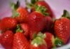 Strawberry Shortage in 2026: Causes and What to Expect