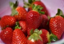 Strawberry Shortage in 2026: Causes and What to Expect