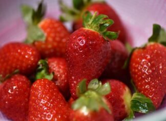 Strawberry Shortage in 2026: Causes and What to Expect