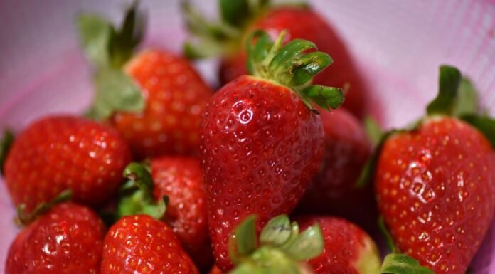 Strawberry Shortage in 2026: Causes and What to Expect